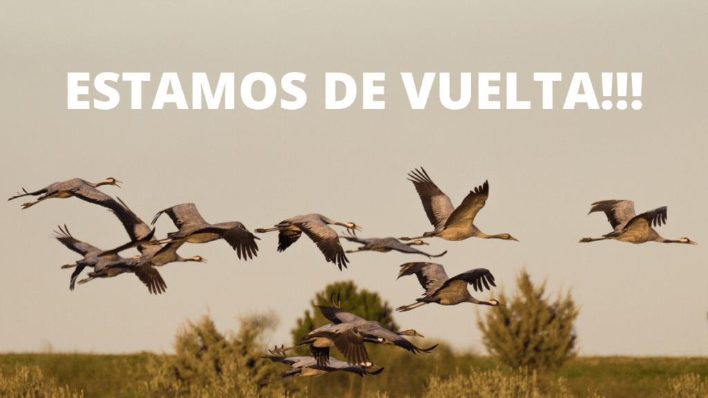 ESTAMOS DE VUELTA - Mercedes-Benz Extremadura